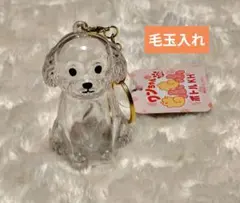 ワンちゃん もふもふ ボトルKH ペット 毛玉入れ キーホルダー トイプードル