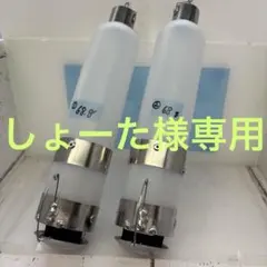 しょーた様専用出品 泳がせ釣り 生き餌遠投カゴ 自作品ロングタイプ