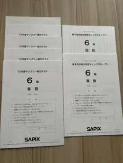 2025年最新】第4回合格力判定サピックスオープンの人気アイテム - メルカリ