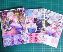 拝啓見知らぬ旦那様、離婚していただきます 1〜3巻 紬いろと セット