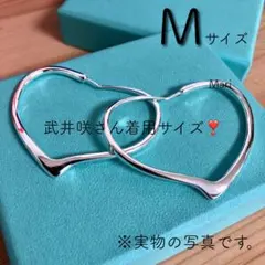 Item thumbnail for item 736d956e-bea3-40cf-a345-ca44cddc4b27