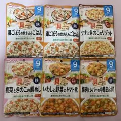 WAKODO 離乳食セット 9ヶ月から　6点セット
