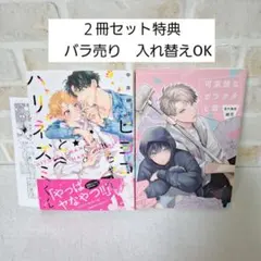 緒花雪代毬絵可哀想なガラクタと君中井紳士ヒヨコちゃんとハリネズミくん商業BL