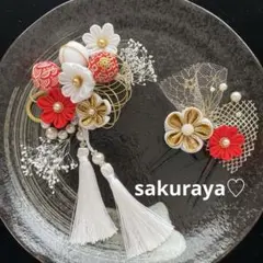 Item thumbnail for item 4864c825-2e08-4097-a32f-1b426c2b86b1