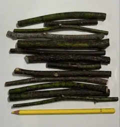 クロモジ　自然素材　無農薬　無洗浄　枝　色々　不揃い枝　130g位　②のサムネイル