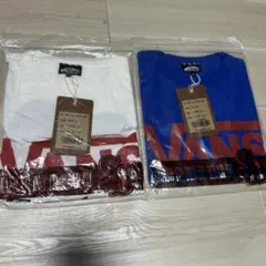 VANS Factory Team Tシャツ 激レア ホワイト ブルーセット - メルカリ