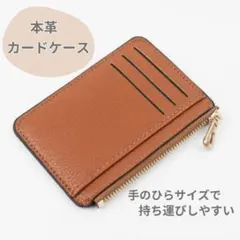 定期入れ カードケース