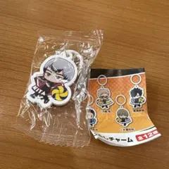 ハイキュー　くら寿司　ビッくらポン　めじるしチャーム　北信介