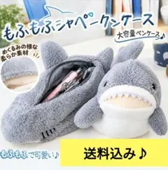 ☆むうさん様専用です☆さんまペンケース☆デニム☆さかなポーチ☆うす