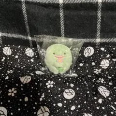 すみっコぐらし　てのり　とかげ（本物）　お花