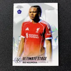 Item thumbnail for item b84fca71-d37b-4253-a4f0-c48f5980fc39