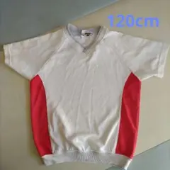 アゼリー学園 体操服 120cm 白赤