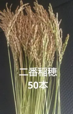 稲穂 インテリア