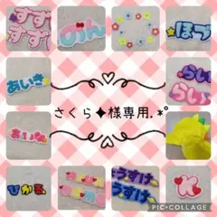 さくら✦様専用.*・