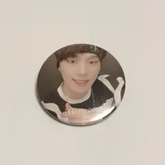 SEVENTEEN セブチ ヘンガレ 缶バッジ ディノ