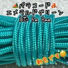 パラコード　１芯 ５m ３mm １番 手芸とアウトドアなど用