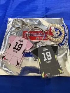 横浜F・マリノス　3連アクリルキーホルダー　19番 朴一圭
