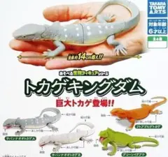 あそべる生物フィギュア トカゲキングダム 全4種 全種セット