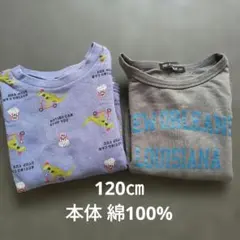 120 本体綿100% コットン トレーナー 2枚セット