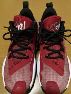 JORDAN ワンテイク４PF. 26.5cm新品