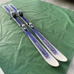 2025年最新】NISHIZAWA スキー 板の人気アイテム