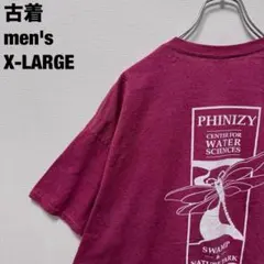 古着 GILDAN ギルダン Tシャツ 自然公園 トンボ ビッグサイズ 赤 XL