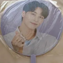 SEVENTEEN JEONGHAN うちわ