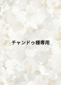 チャンドゥ様専用