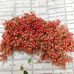 花山椒 新鮮摘みたて100 g 花山椒 新鮮摘みたて 100g - メルカリ