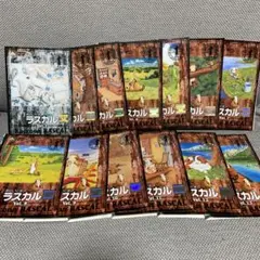 アライグマラスカル 13巻 VHS - メルカリ