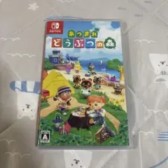 あつまれ どうぶつの森 Nintendo Switch