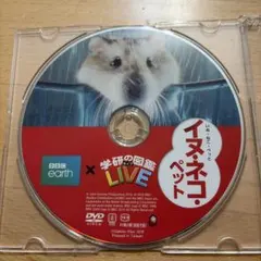 DVD 学研の図鑑　LIVE イヌ・ネコ・ペット　DVDのみ
