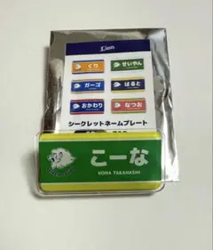 埼玉西武ライオンズ高橋光成　シークレットネームプレート