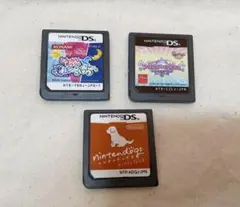 DS とんがりボウシと魔法の365にち プリンセスオンアイス ニンテンドックス