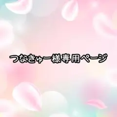 つなきゅー様専用ページ