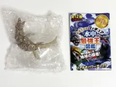 ☆超レア☆ 京都水族館開館記念 限定 オオサンショウウオ (台座違い