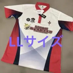 Item thumbnail for item 57708232-9b9e-4e2d-8e3e-a7d05f4935bc