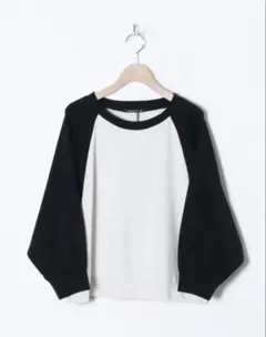 【美品】mizuiroind ミズイロインド バイカラーラグランプルオーバー