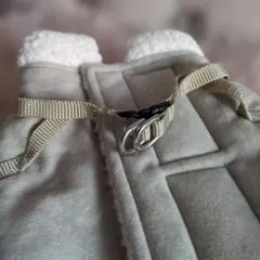 Item thumbnail for item e0572f1f-6158-42d8-8cb2-97301322b6c8