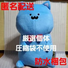 お文具といっしょ テディベアになりきりぬいぐるみBIG 猫さん