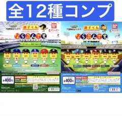 プロ野球 スピリッツA 調子くん ならぶんです。 セリーグ + パリーグ 12種