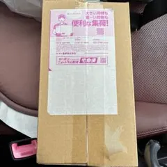 n*h様 （超美品　未開封）ポケモンセンター フクオカ スペシャルBOX シュリ
