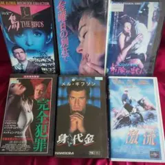 【中古品】洋画VHSコレクション（6本セット）