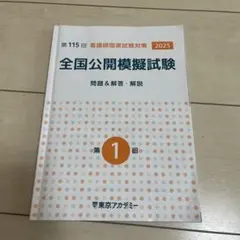 全国公開模擬試験 看護師国家試験対策 2025 第115回看護師国家試験対策2025 全国公開模擬試験 問題&解答・解説