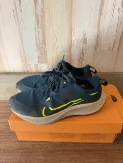 NIKE エア ズーム ペガサス 37 シールドのサムネイル