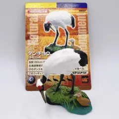 週刊 日本の天然記念物 動物編 全50巻+フィギュア+公式トレカ 週刊日本の天然記念物動物編