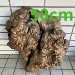 天然木 銘木 瘤木 置物 高さ30cm 根杢 花梨 黒柿 欅 オブジェ - メルカリ