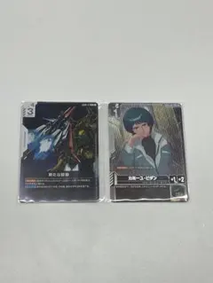 カミーユ・ビダン　ニュータイプ