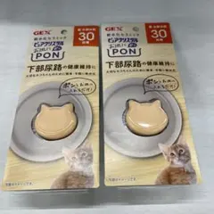 Item thumbnail for item 99dd5761-bf83-450a-b656-aa444e9f455c