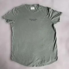 アバクロAbercrombie & Fitch Tシャツ Lサイズ